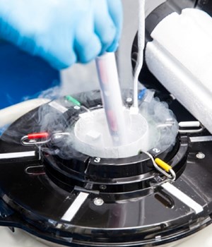 گاز نیتروژن